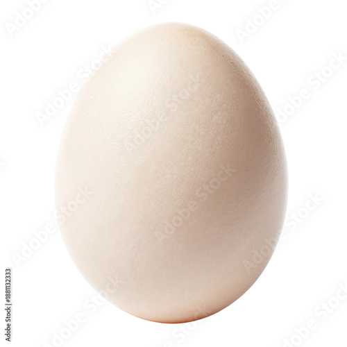Large Ostrich Egg on White Background with Deep Shadow