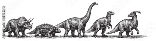 Detailed black and white vintage style engraving illustration featuring a triceratops, ankylosaurus, brachiosaurus, iguanodon and parasaurolophus walking across a white background.