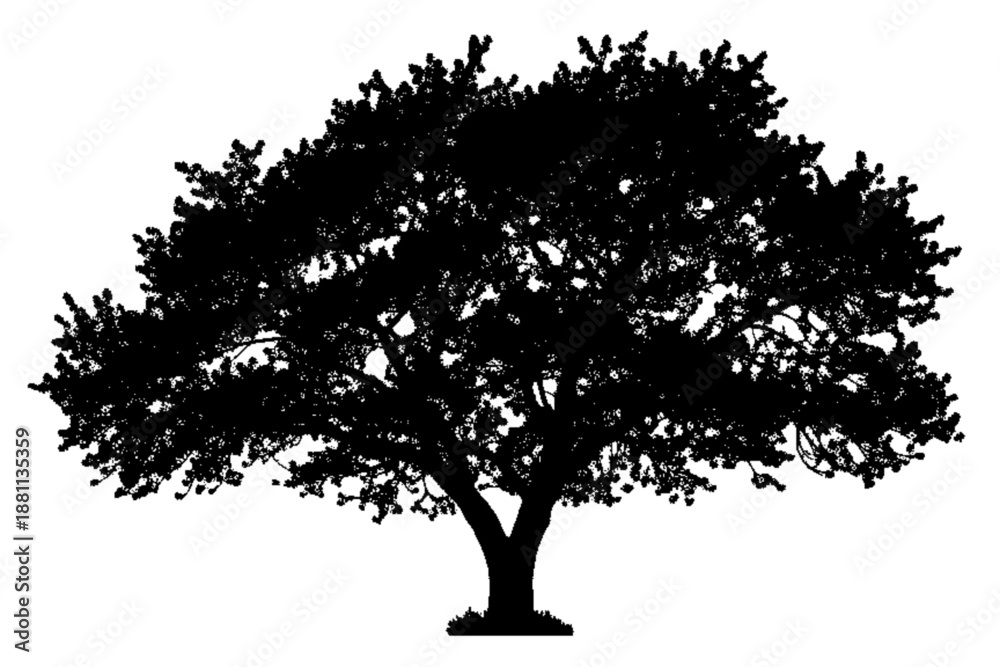 Fototapeta premium Silhouette of a Majestic Tree: The stark silhouette of a mature tree stands against the light, its intricate branches and leaves forming a captivating natural art piece. 