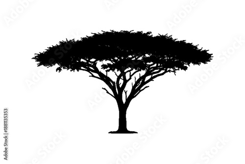 Savanna Tree Silhouette: A dramatic silhouette of a classic savanna tree against a simple backdrop, showcasing its distinct shape and textured canopy.