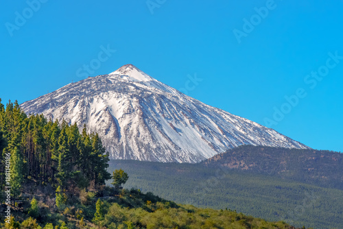 Majestic Teide Mountain in Tenerife Surrounded by Lush Green Forests and Clear Blue Skies