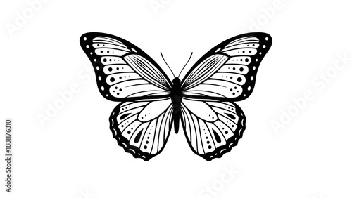 Detailed black and white illustration of a butterfly with intricate wing patterns.