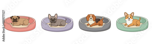 Group of four different dog breeds resting in individual colorful pet beds.Vector