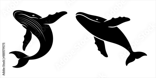 Two silhouettes of humpback whales swimming on a white background