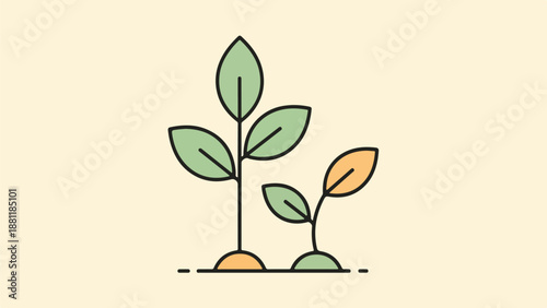 Minimalist botanical illustration of two plants with contrasting growth states