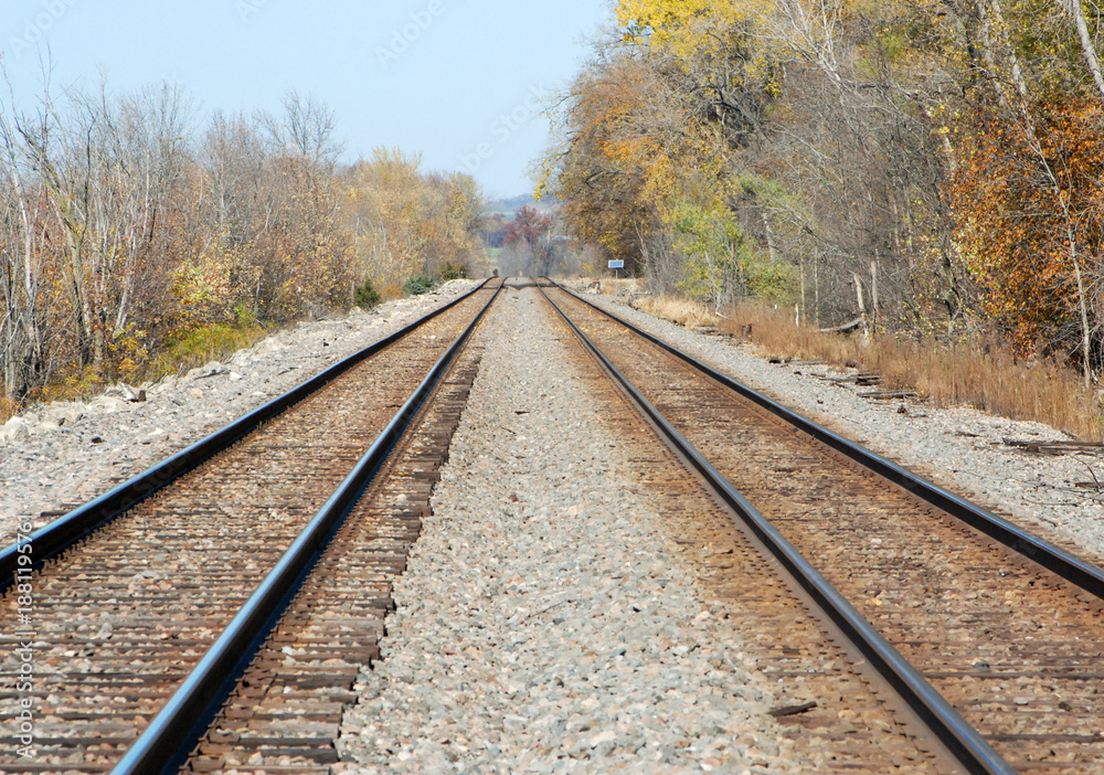 Fototapeta premium railway in the forest