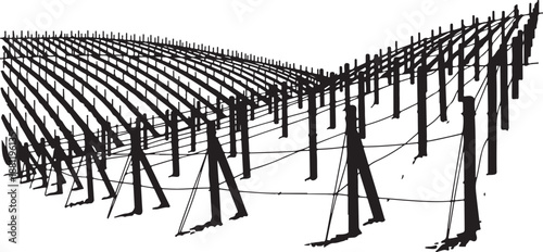 A large solar panel farm with many rows installed