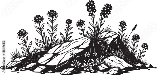 Black and white illustration of wildflowers on rocky terrain