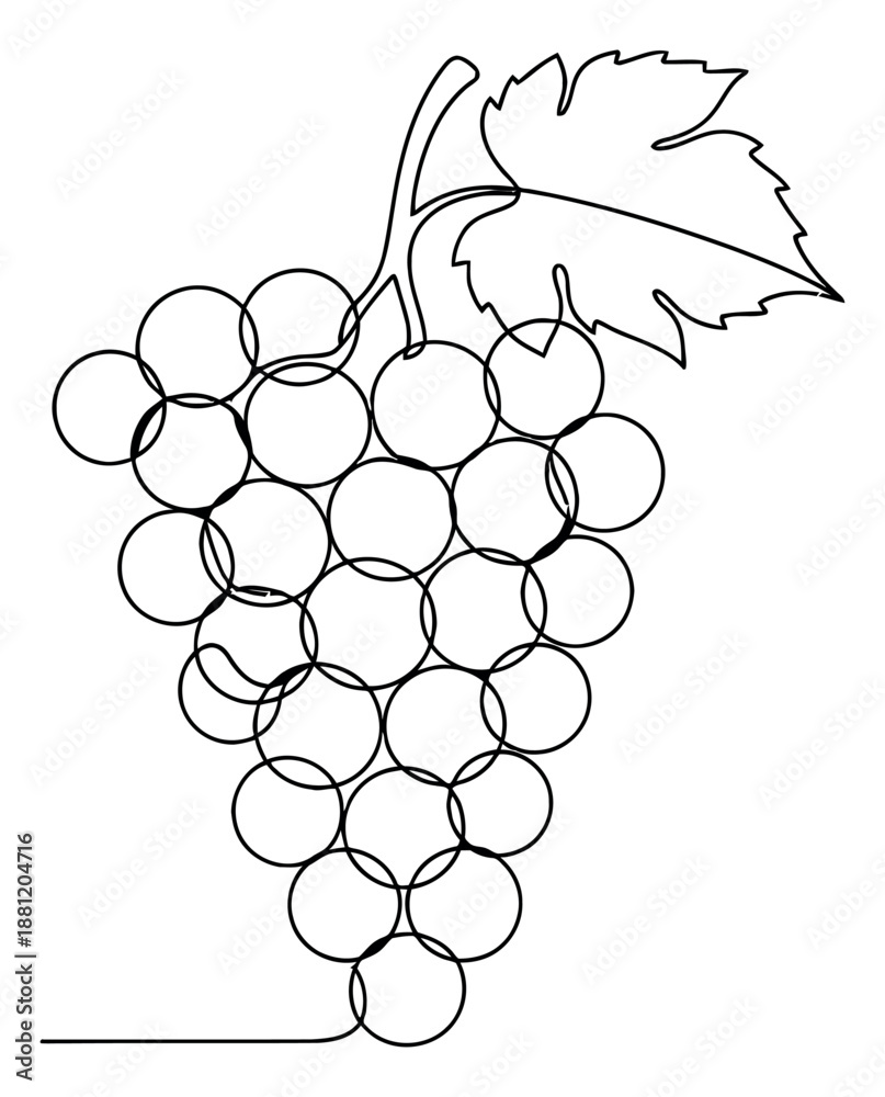 Fototapeta premium Continuous line art illustration of a grape bunch depicting a fresh fruit for food and drink concepts