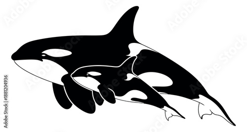 Graphic line art illustration of an orca mother and calf depicting a maternal bond for marine life