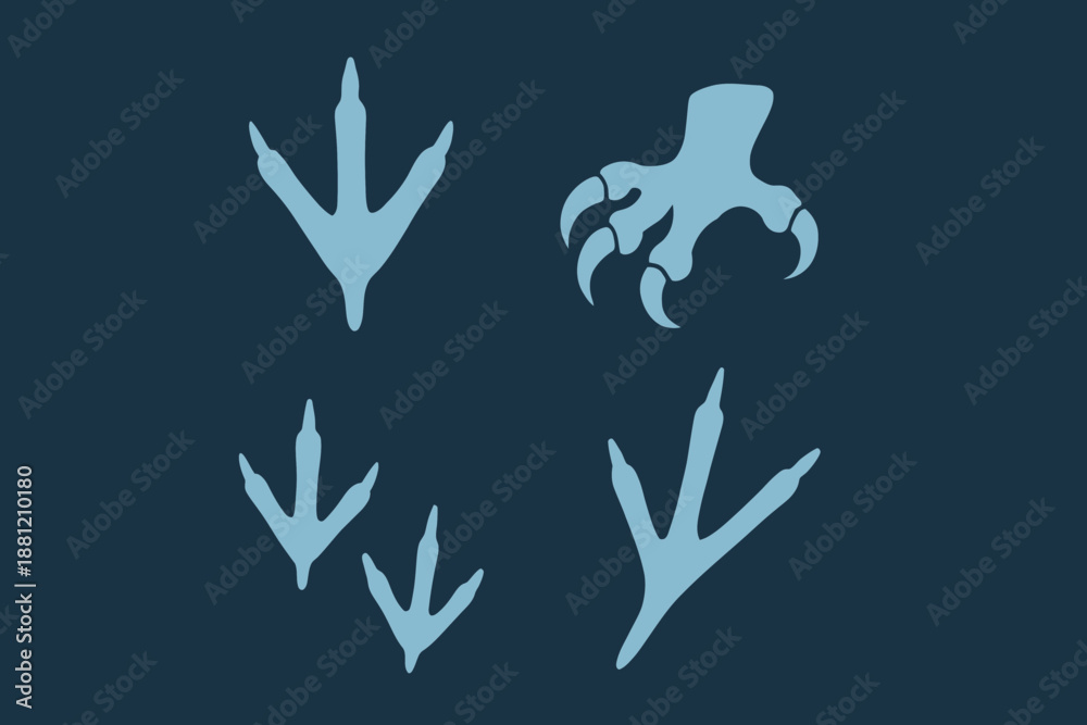 Obraz premium Assorted Animal Footprints Bird Raptor and Small Creature Tracks.