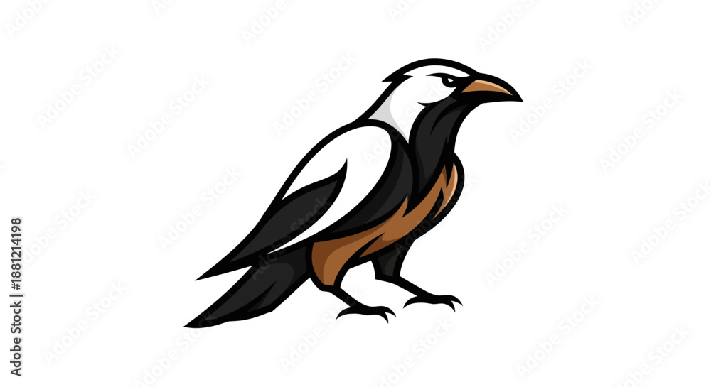 Fototapeta premium Adobe Illustrator Artwork