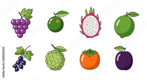 Colorful cartoon illustration of various fresh fruits on white background