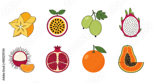Colorful assortment of various tropical fruits in vibrant vector illustration