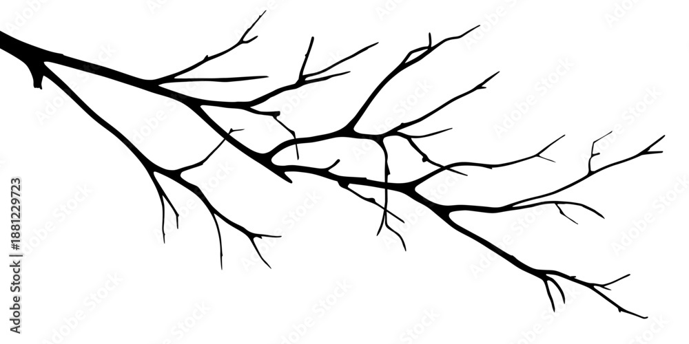 Obraz premium Vector drawing of a dry twig isolated on a white background, branch outline without leaves