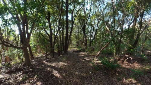 Slowly walking downhill along a mountain path