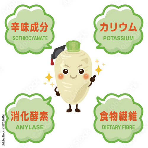 大根のキャラクターと大根に含まれる成分イラスト／Cute Daikon Character Illustration with Nutrients