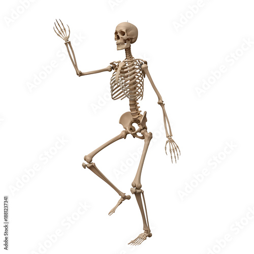 Skeleton holding whisk in a dynamic pose