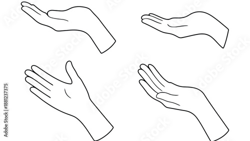 A set of four hands in different positions on a white background