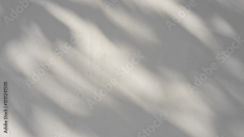 Shadow of tree branch sway in the wind on white wall background