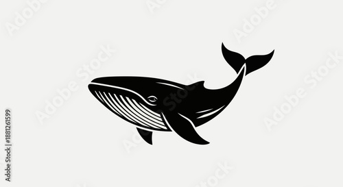 Black and white whale illustration on a clean white background