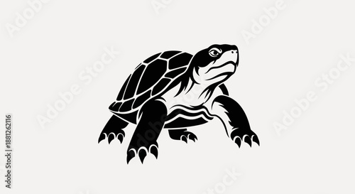Black and white turtle illustration against a plain background