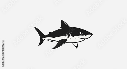 Black and white shark illustration isolated on white background for design