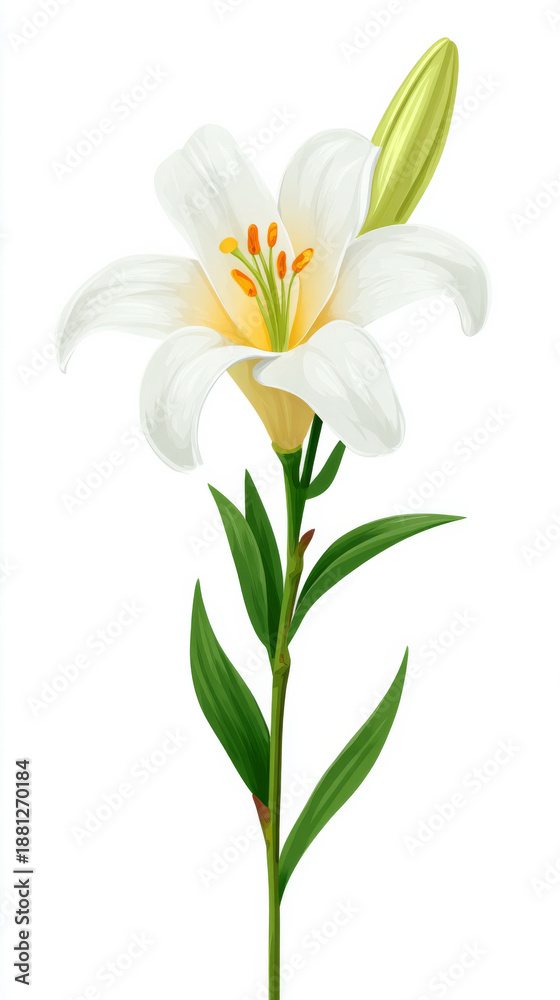 Fototapeta premium Elegant easter lily flower symbolizing purity and renewal for religious celebrations