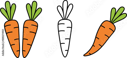 Carrot vegetable icon set with colored outline and hand drawn styles isolated on white background vector illustration