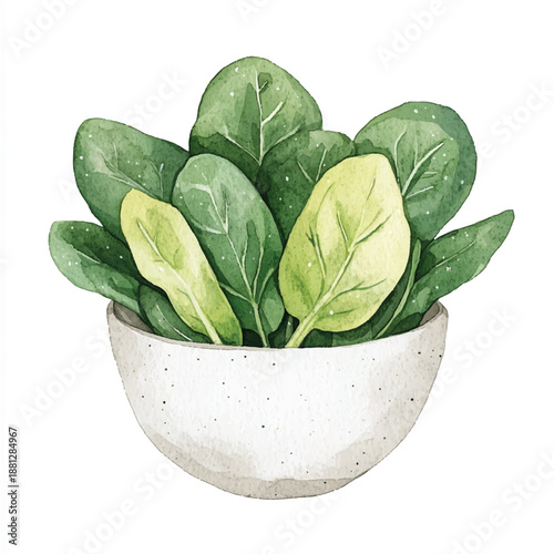 Watercolor illustration of fresh green spinach leaves in a bowl.