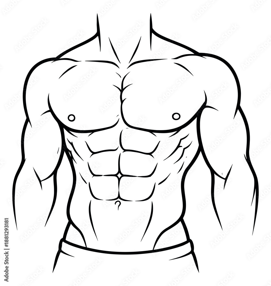Fototapeta premium Hand drawn line art illustration of male torso depicting a strong athletic physique for fitness and health concepts