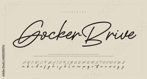 signature Font Calligraphy Logotype Script Brush Font Type Font lettering handwritten. vector illustration  