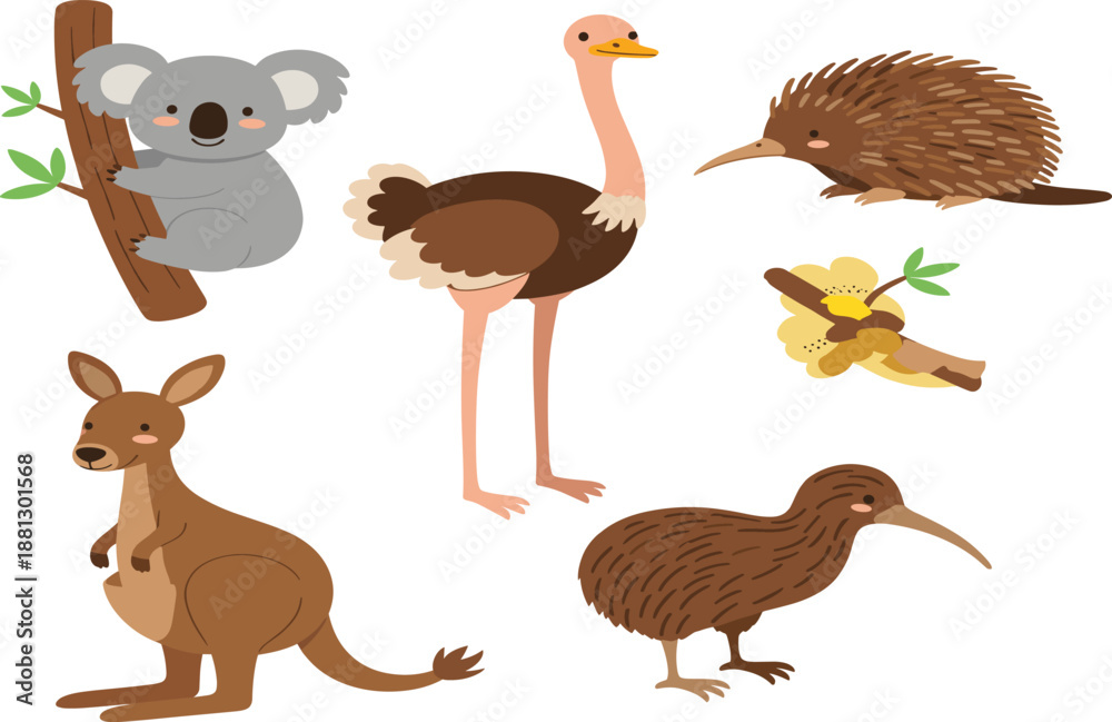 Fototapeta premium Cute Australian animal illustration set featuring koala, kangaroo, kiwi bird, echidna and ostrich in flat cartoon vector style