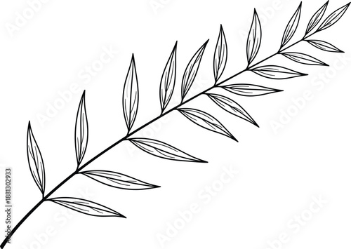 Vector illustration of botanical branch icon with elongated leaves, curved stem, and vein detail in silhouette style
