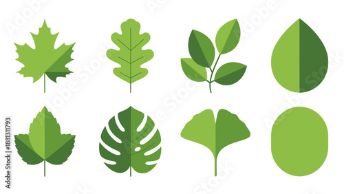Collection of various green leaves.