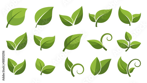 Collection of various green leaves.