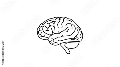 Human Brain Illustration Closeup View.