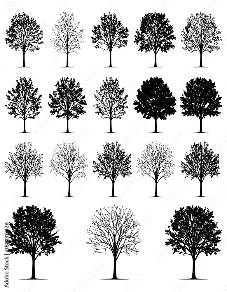 Fototapeta premium Assorted stylized tree silhouettes, rendered in black and white. Trees vary in foliage and season, creating diverse arboreal looks