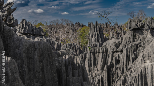 Unique karst rocks. Steep furrowed slopes, sharp spiny peaks. Green vegetation and leafless trees in the valley. Blue sky, clouds. Madagascar. Tsingy De Bemaraha  