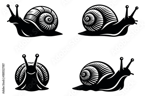 Stylized snail set featuring different crawling and frontal views for nature and animal designs