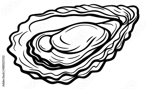 Line art illustration of an oyster depicting a marine bivalve for culinary design
