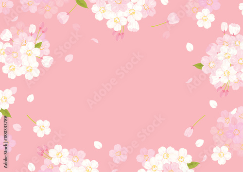 桜　背景イラスト