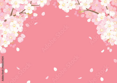 桜　背景イラスト