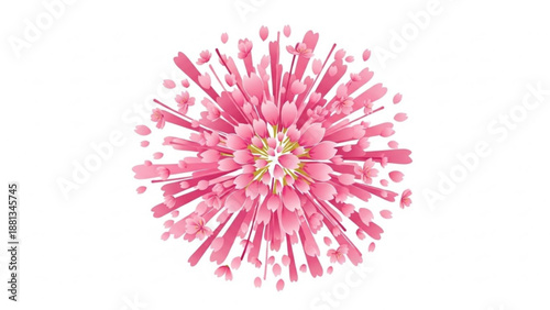 Vibrant pink flower with long stamens and petals exploding outward on white background symbolizing growth and beauty