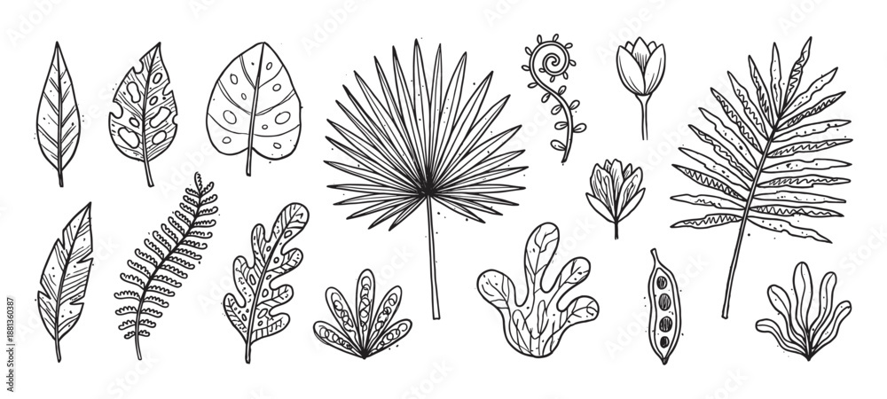 Fototapeta premium Set of hand-drawn tropical leaves and flowers in a black and white doodle style, featuring a botanical collection of jungle plants, palm fronds, and fern illustrations