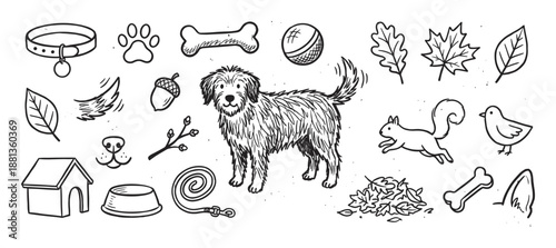 Hand drawn doodle illustration set of a cute shaggy dog with pet accessories and autumn nature elements like leaves, a squirrel, and a bird in a sketchy monochrome ink style