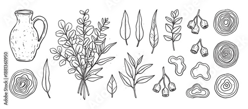 Hand drawn black and white botanical illustration set with eucalyptus leaves, gumnuts, a rustic jug, and wood slices in a simple, organic, line art doodle style for design elements