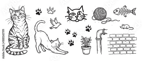 Hand-drawn collection of cat-themed doodles including a sitting tabby, stretching kitten, graffiti face, paw prints, yarn, and fish skeleton in a monochrome sketch style