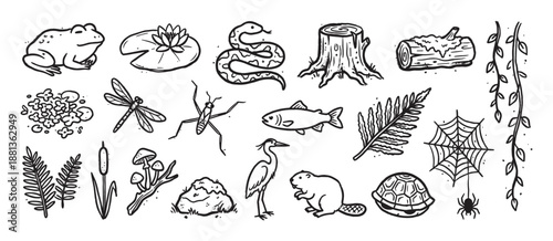 Set of hand-drawn pond life illustrations featuring a frog, snake, beaver, turtle, fish, heron, and various insects and plants in a simple black and white doodle style