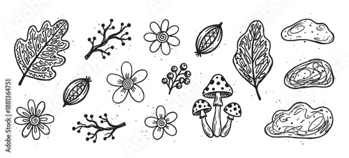 Collection of hand-drawn forest elements including flowers, leaves, mushrooms, and berries in a rustic black and white doodle style with a textured, speckled effect